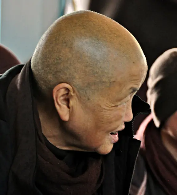 Naissance de Thích Nhất Hạnh, futur porte-parole bouddhiste de la paix mondiale — Thừa Thiên–Huế Province, Vietnam