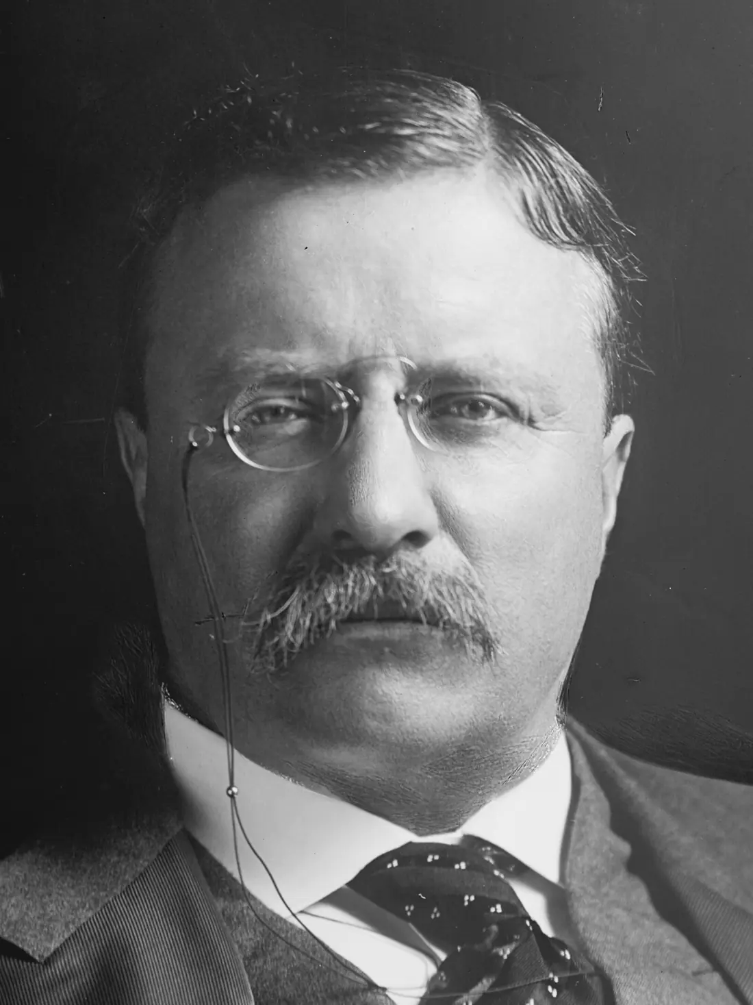 Theodore Roosevelt Names the Executive Mansion the White House — Washington, D.C., USA