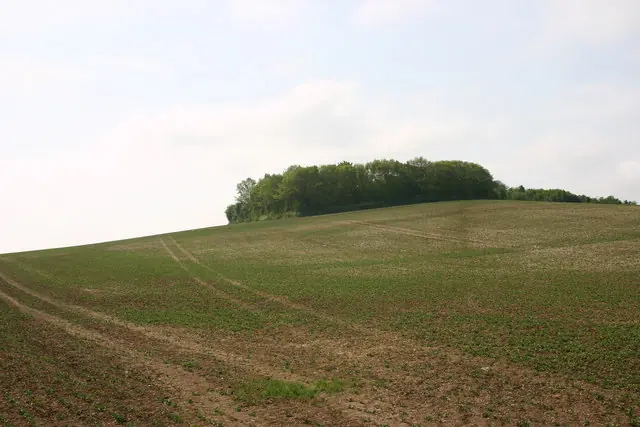 Danes Crush English at Battle of Assandun, Securing Cnut’s Rule — Assandun, England